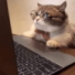 uSeuVagem's avatar