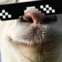MoPraglan's avatar