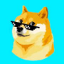 anIcyDoge's avatar