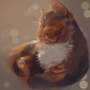 TM203's avatar