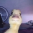 PAZZAA2008's avatar