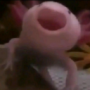 HaufenKatze's avatar