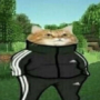 KayTow's avatar