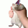 noewn's avatar