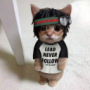 RoccetLaChapo's avatar