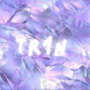 TR1N's avatar