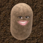 Potato271's avatar