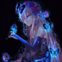 NilsGotSkills' avatar