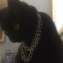 nzyhh's avatar