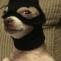 Bobtheman3719's avatar