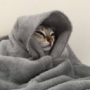 Meowsypaws' avatar