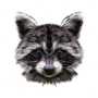BignerdyRaccoon's avatar