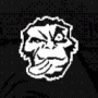 INCRPRL's avatar