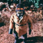 BruhXYZ's avatar