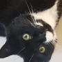 mase-o-'s avatar