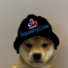 Squishycow's avatar