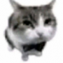 AzusaCat's avatar