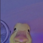 william0731's avatar