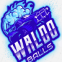WaldoBalls4's avatar