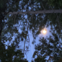 Mr_DarkFire's avatar