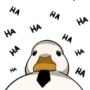 KingLuc's avatar