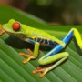froggy_UwU's avatar