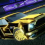 arcticfoxxxxx's avatar