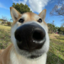 zekkioo's avatar