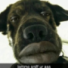 DSV0's avatar