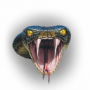 viperstorm's avatar