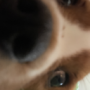 Rurgie1's avatar