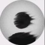 Larrys_Lemons' avatar