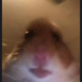 Lefty-_-Loosey's avatar