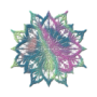 elimaynamor's avatar