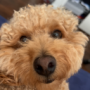 kaxzywaxzy's avatar
