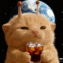 Beshoo_Amr's avatar