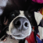 roseeeey's avatar