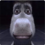 TeaganF's avatar