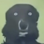 NotDylanGG's avatar