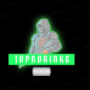 TopRobinKG's avatar