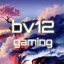 bv12's avatar