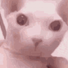 ShadowMindRL's avatar
