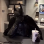 wtvjoshh's avatar
