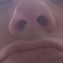 Autourmom's avatar