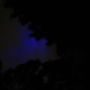 boer10famkkjdhd's avatar