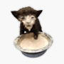 KattMjolk's avatar