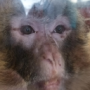 Salamaelrayo's avatar