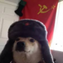 Doge_'s avatar