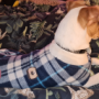 JackDom's avatar