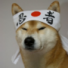S0ul_Shiba's avatar